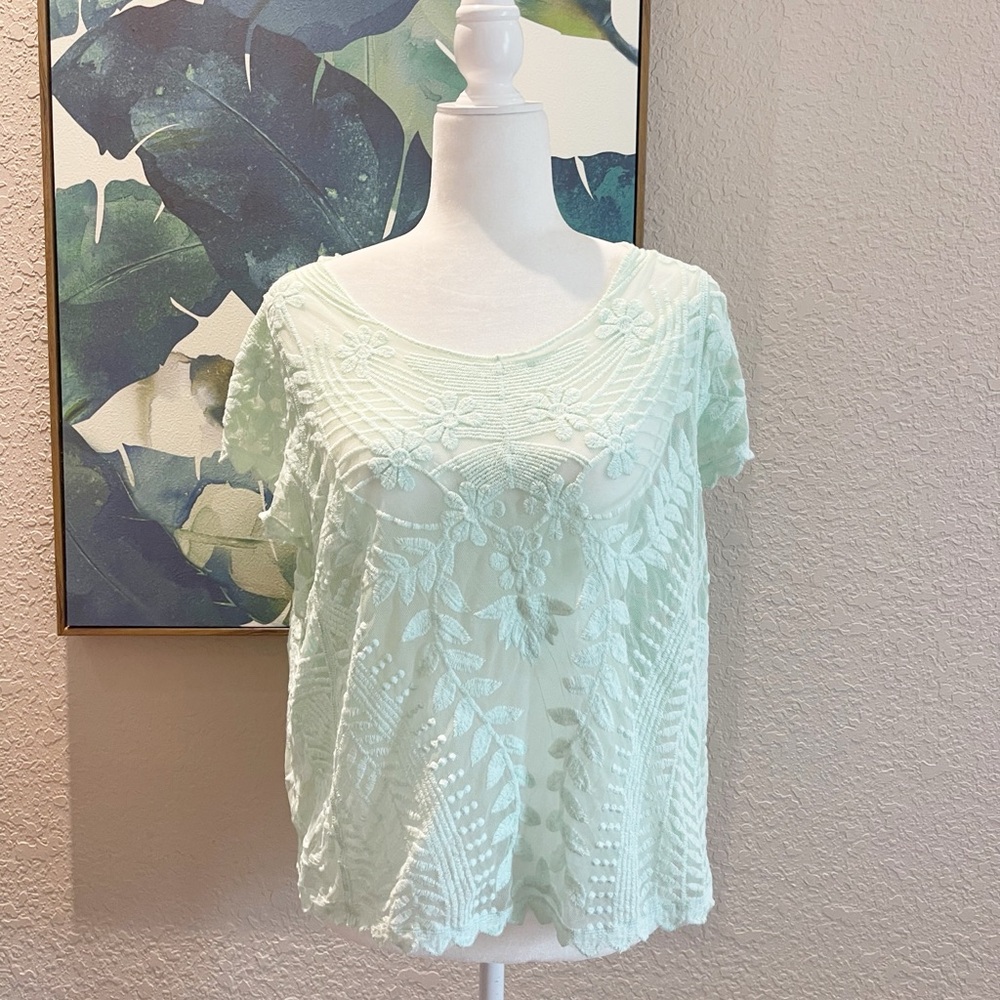 Express Lace Embroidered Sheer Top